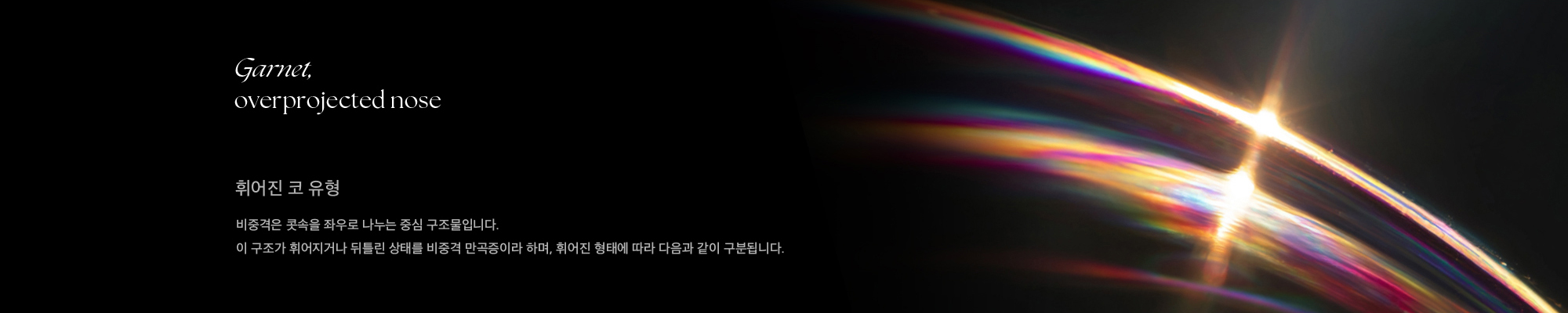 Garnet, overprojected nose 휘어진 코 유형 비중격은 콧속을 좌우로 나누는 중심 구조물입니다. 이 구조가 휘어지거나 뒤틀린 상태를 비중격 만곡증이라 하며, 휘어진 형태에 따라 다음과 같이 구분됩니다.